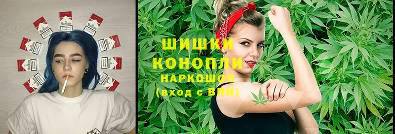 Канабис SATIVA & INDICA  где можно купить   kraken как войти  Покровск 